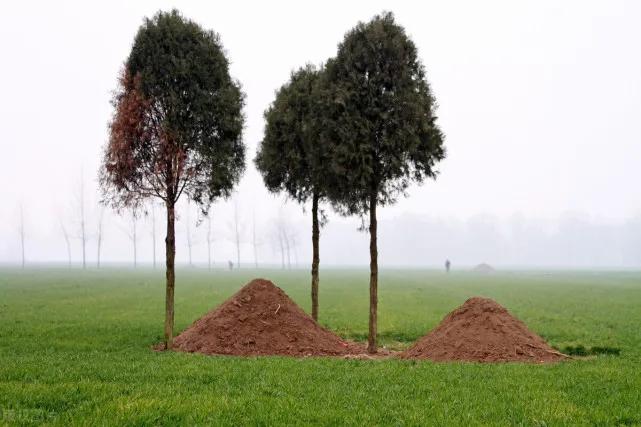 看了新的殡葬制度，我沉默了。它将于2026年3月30日执行。主要内容包括，人死后