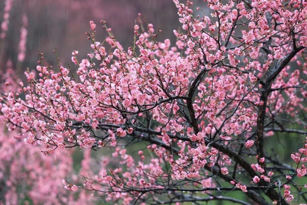 【没有人愿意一直做别人的 “情绪垃圾桶”，也没有人天生就该为另一个人的负面情绪买