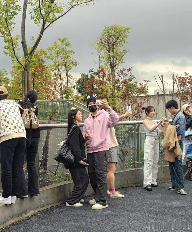 #偶遇王大陆与女友看大熊猫# 王大陆和沐轩的感情十分稳定，不知道两人会走到结婚那