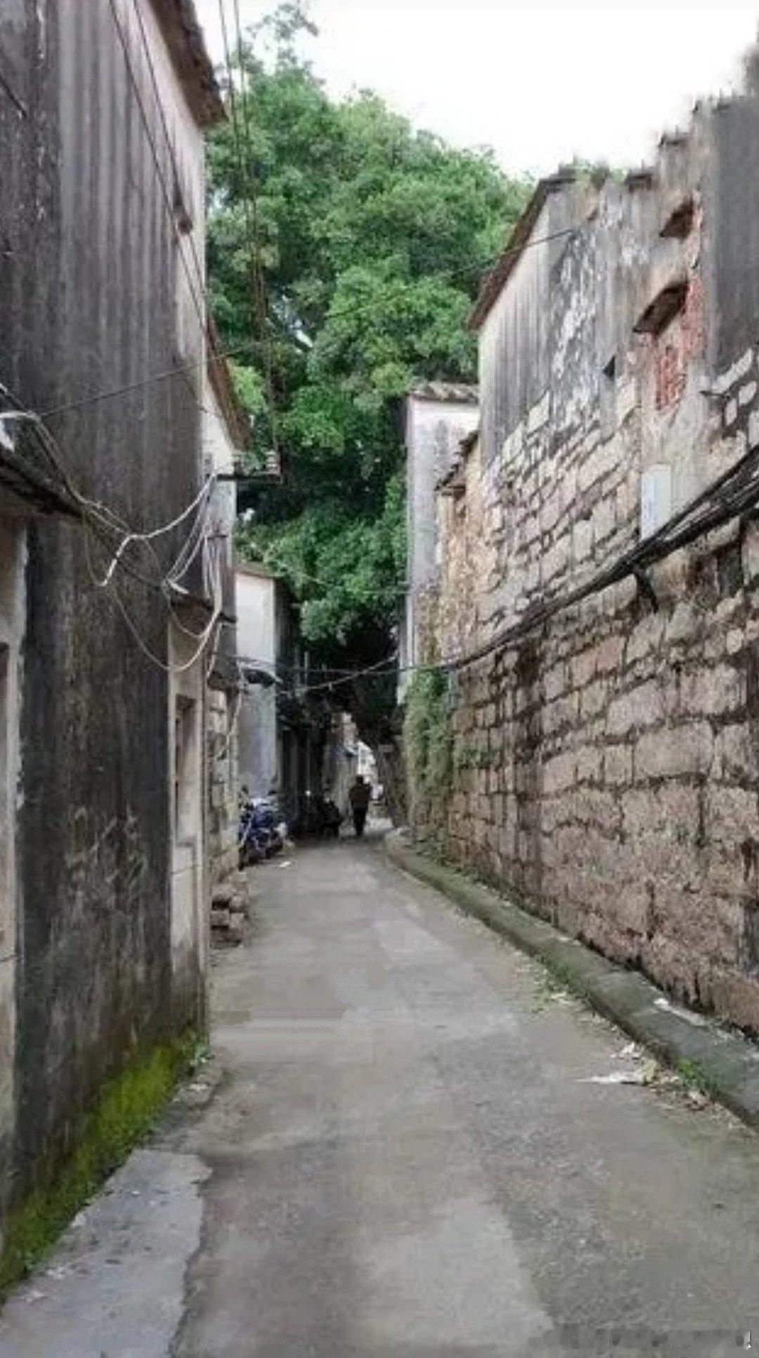 早安 走哪条路更好，从来没有标准答案。选定方向，就别再频频回望。只要是遵从内心的