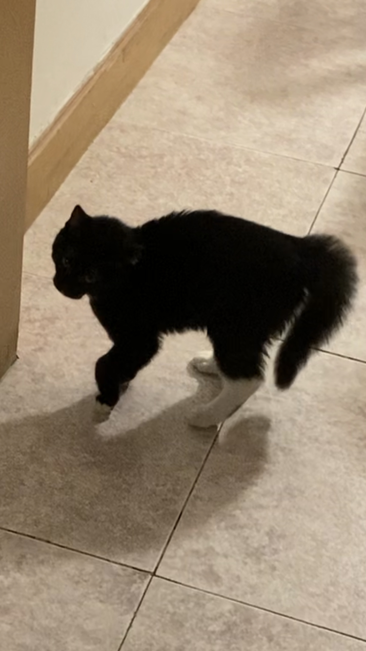 ？ 