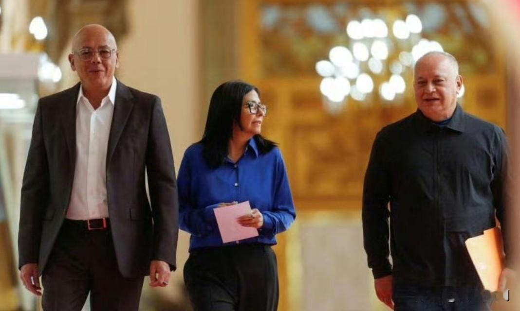 委内瑞拉代理总统德尔西·罗德里格斯表示，她已经“受够”来自华盛顿的指令。

她说