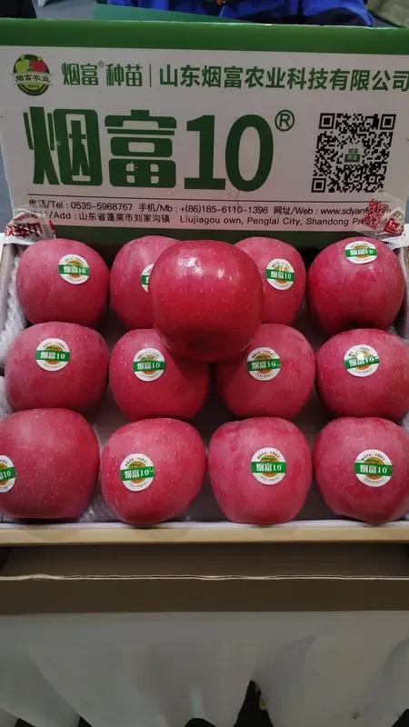 瑞香红是西北农林科技大学以秦富1号×粉红女士杂交选育的晚熟红色苹果新品种。从20