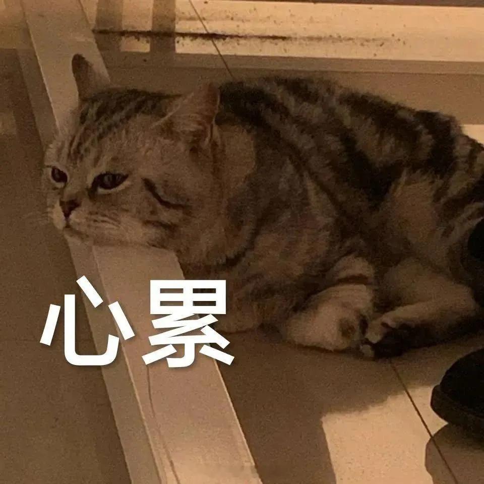 每年都是这样不是这些事，就是那些事没有一年能开开心心过完的这生日，过不过也没什么