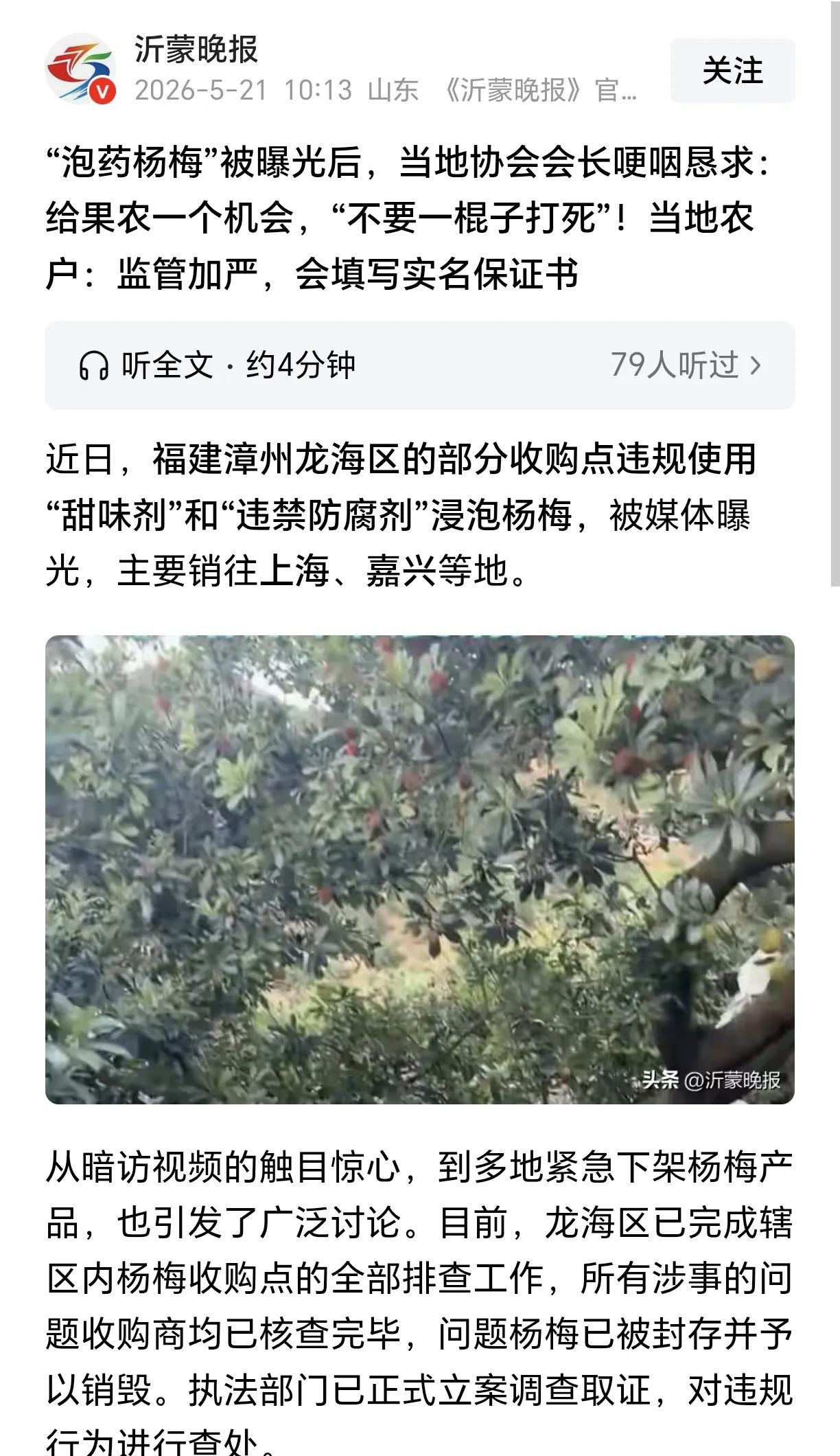 福建漳州杨梅“泡药”事件的影响还在发酵扩散。
福建产地那里还在恳求着“给个机会”