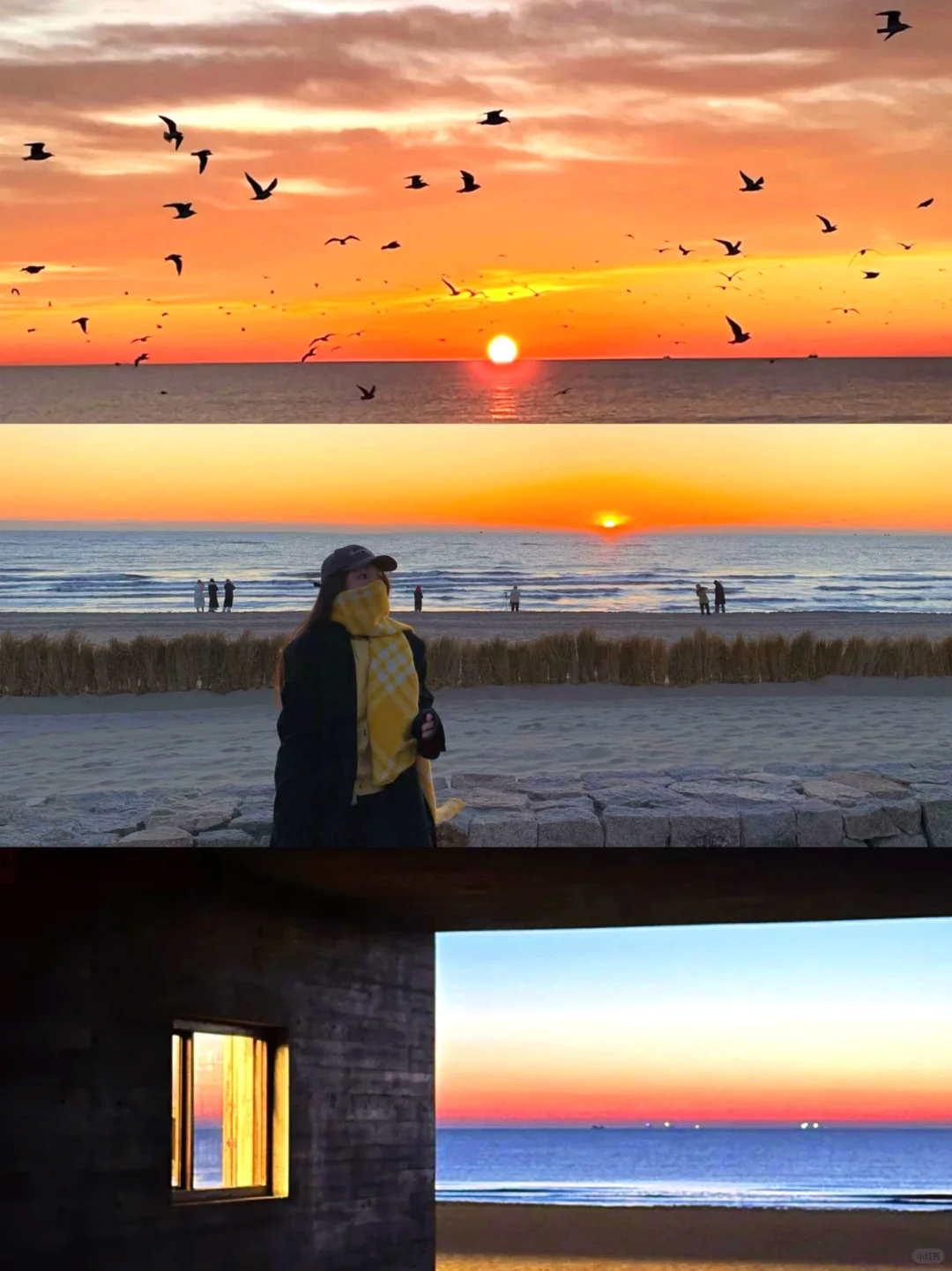 阿那亚日出🌅｜在阿那亚拍到人生照片