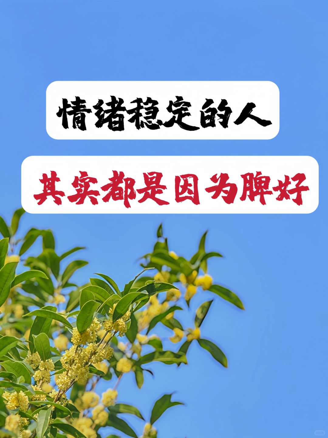 中医｜你的肠胃很聪明，比你想象中更加懂你