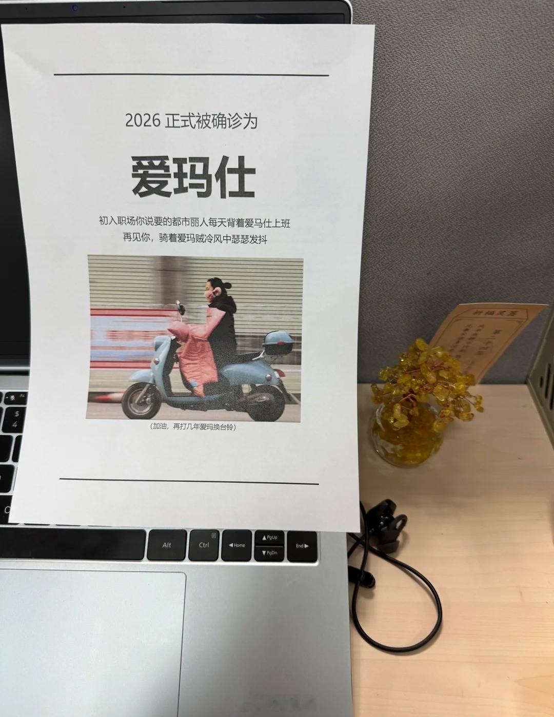 马年刚开年，你是图中的什么马？马年的梗还是太超前了