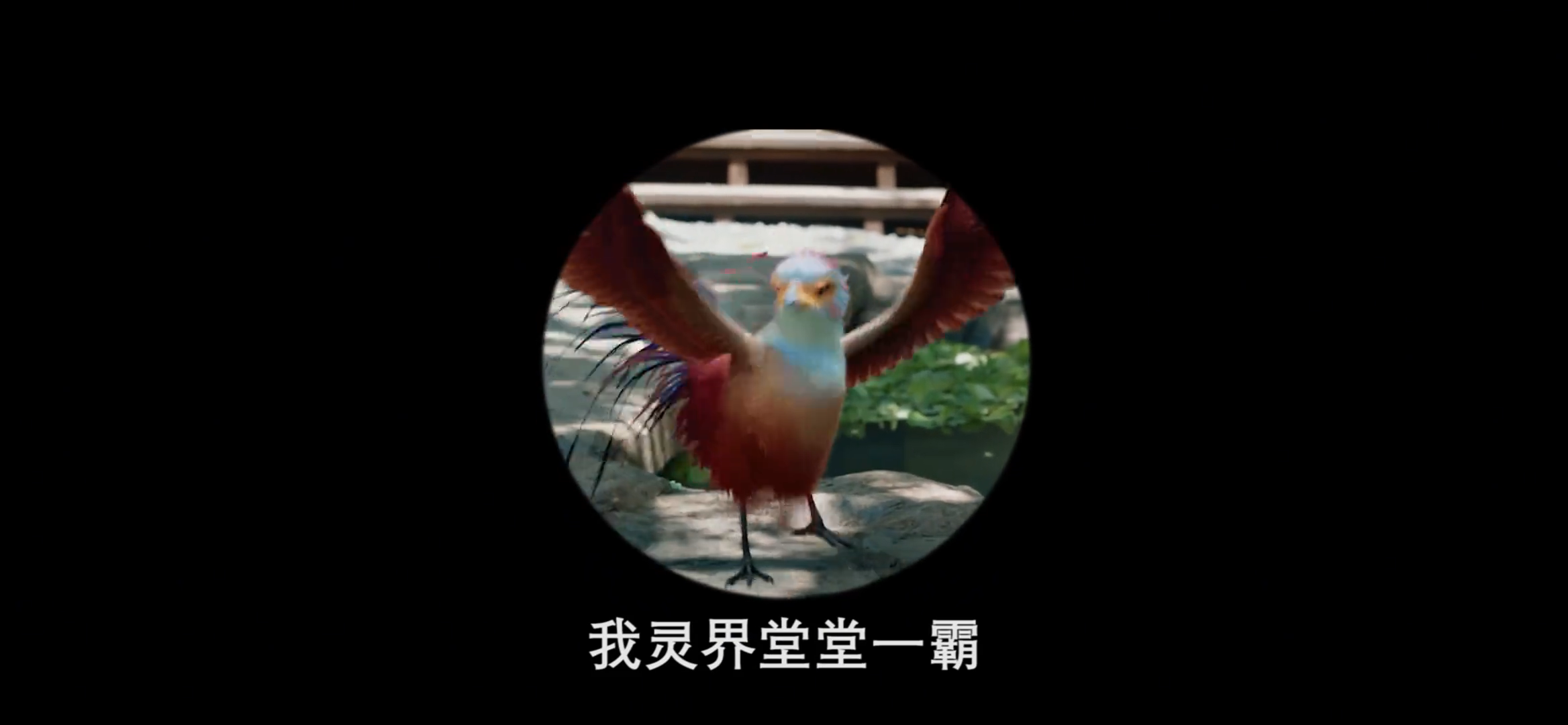 #王者荣耀版沈璃上线# 穿越剧游，沈璃女王降临王者大陆，你准备好辅佐我了吗？#与