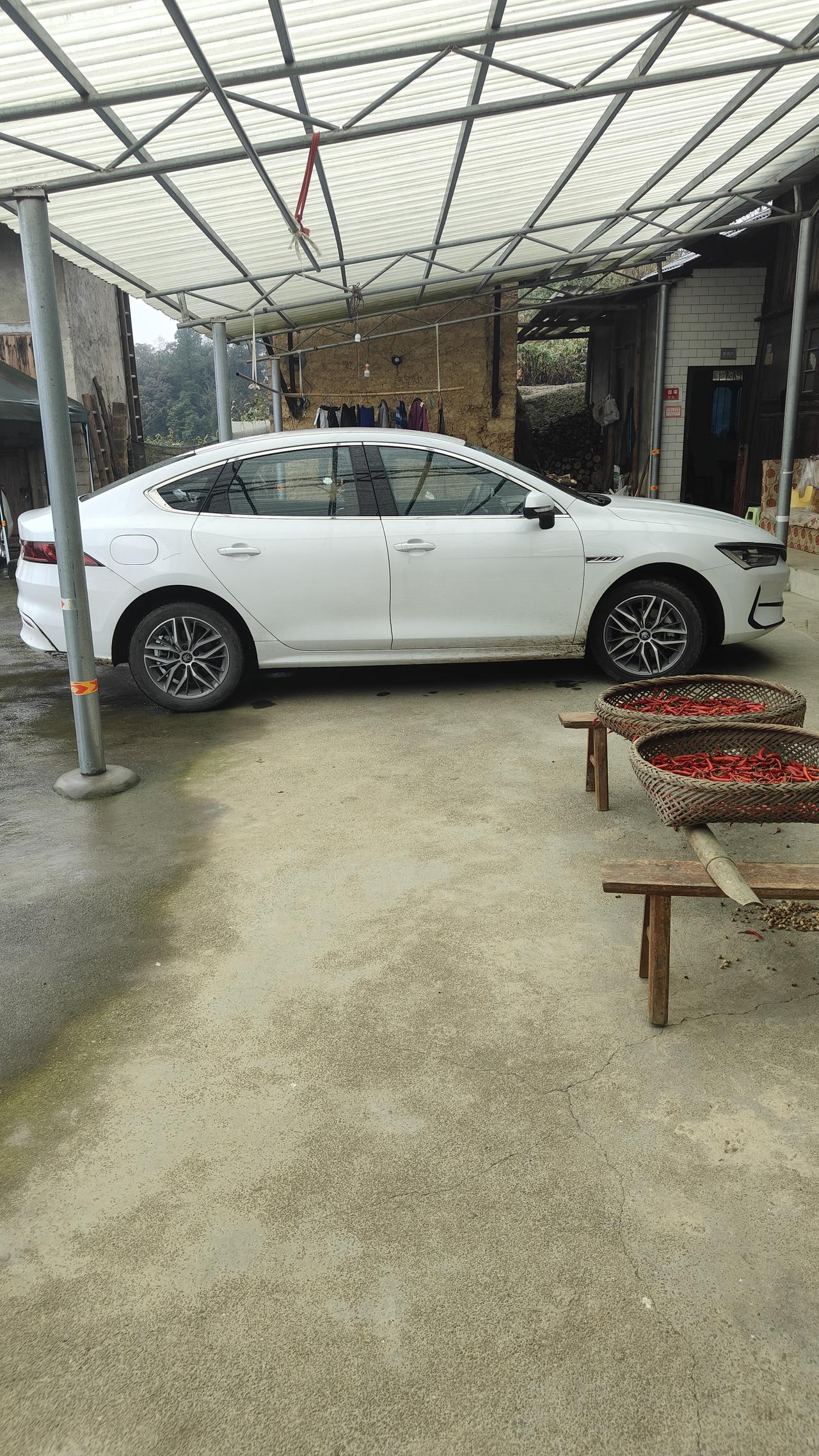 比亚迪秦和轩逸经典
你会买那个？