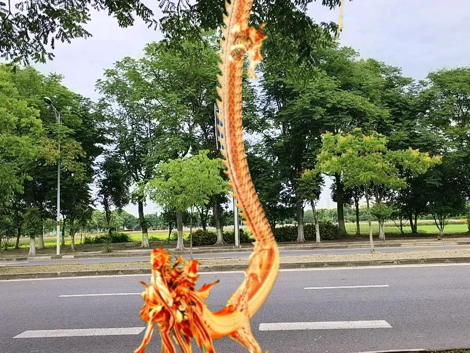 树和远处的花海