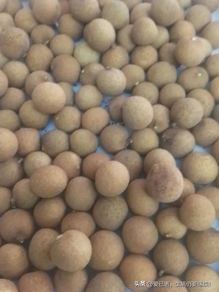 如果不缺钱，你还会工作吗我可能不会，如果现在的我不缺钱我会回乡下挖个鱼塘，养养鸡