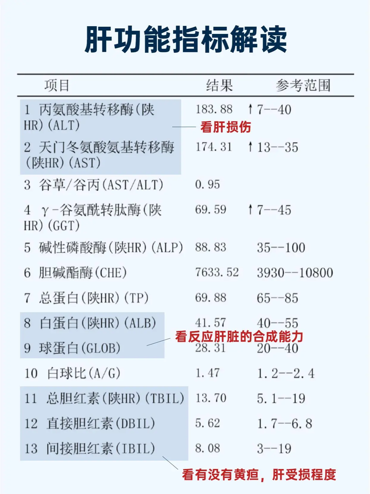 肝功能 白蛋白 转氨酶 医学科普