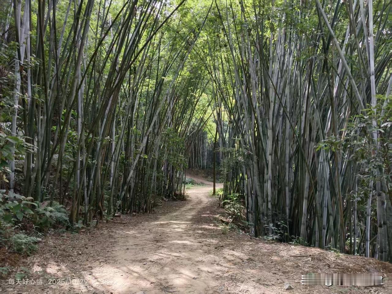 《江城子·空间栈》

少年意气贯长天，觅资财，沥心肝。百战商海，垂首亦昂然。万里