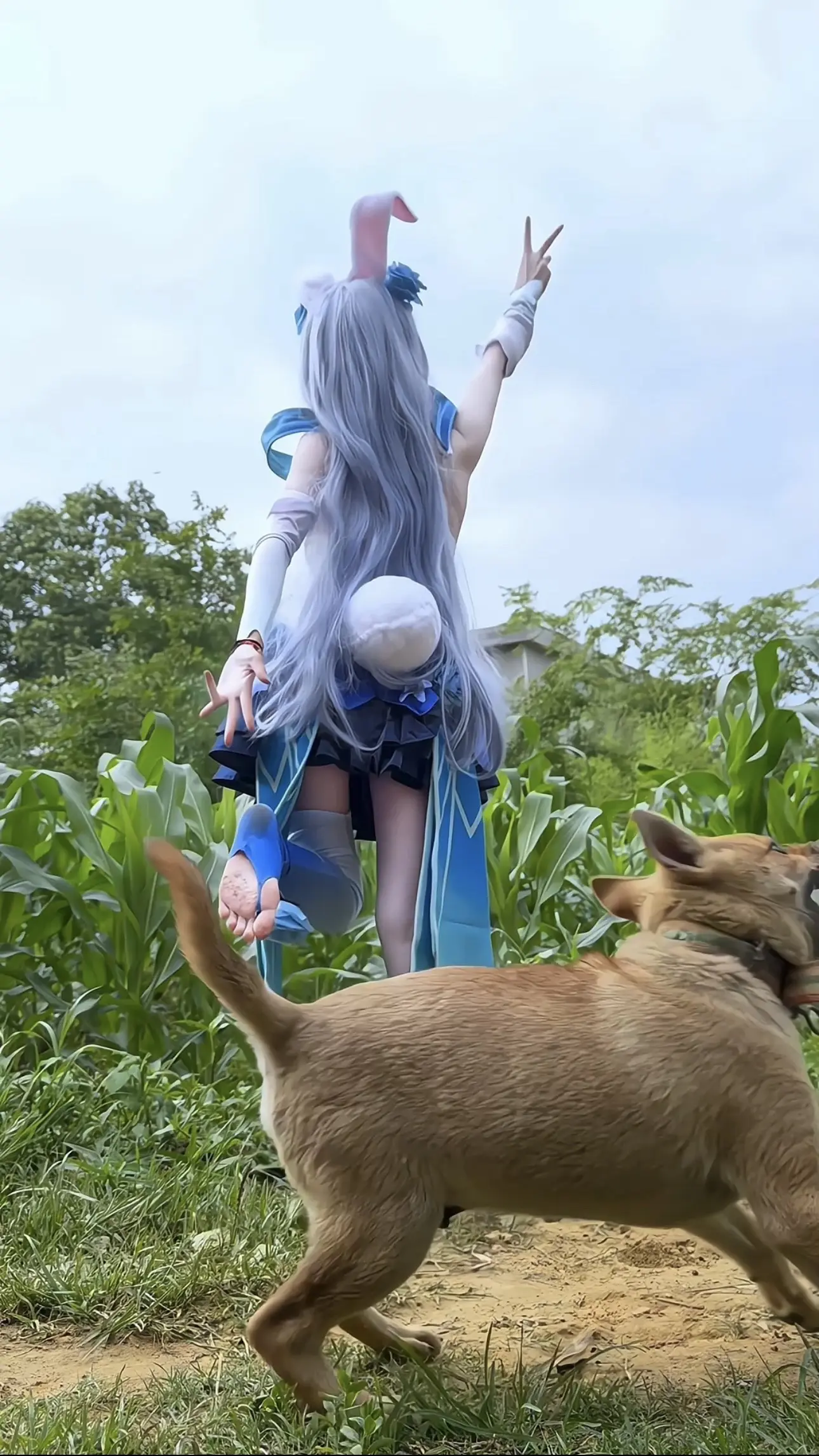 公孙离cos 公孙离花间舞cos 公孙离 cos 二次元