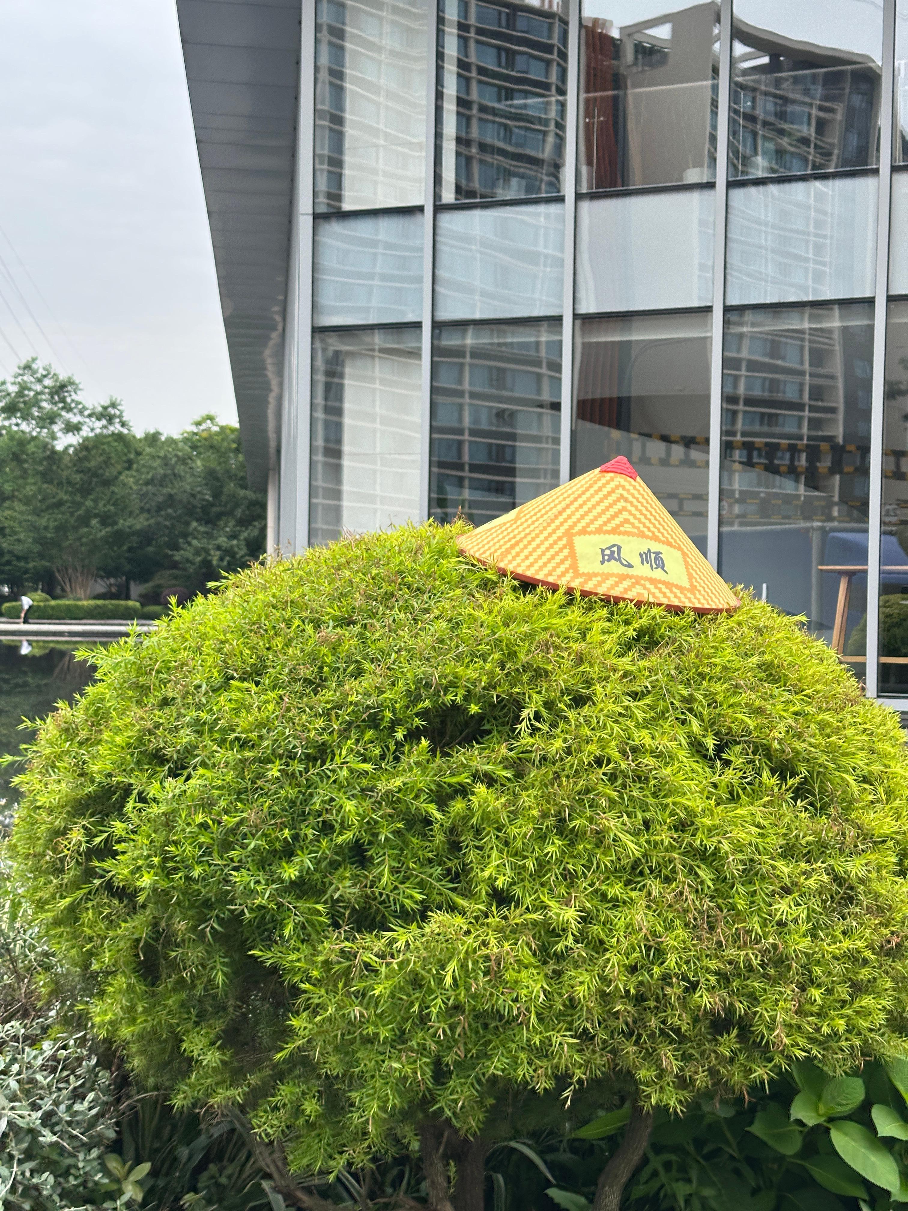 溜达溜达🚶 