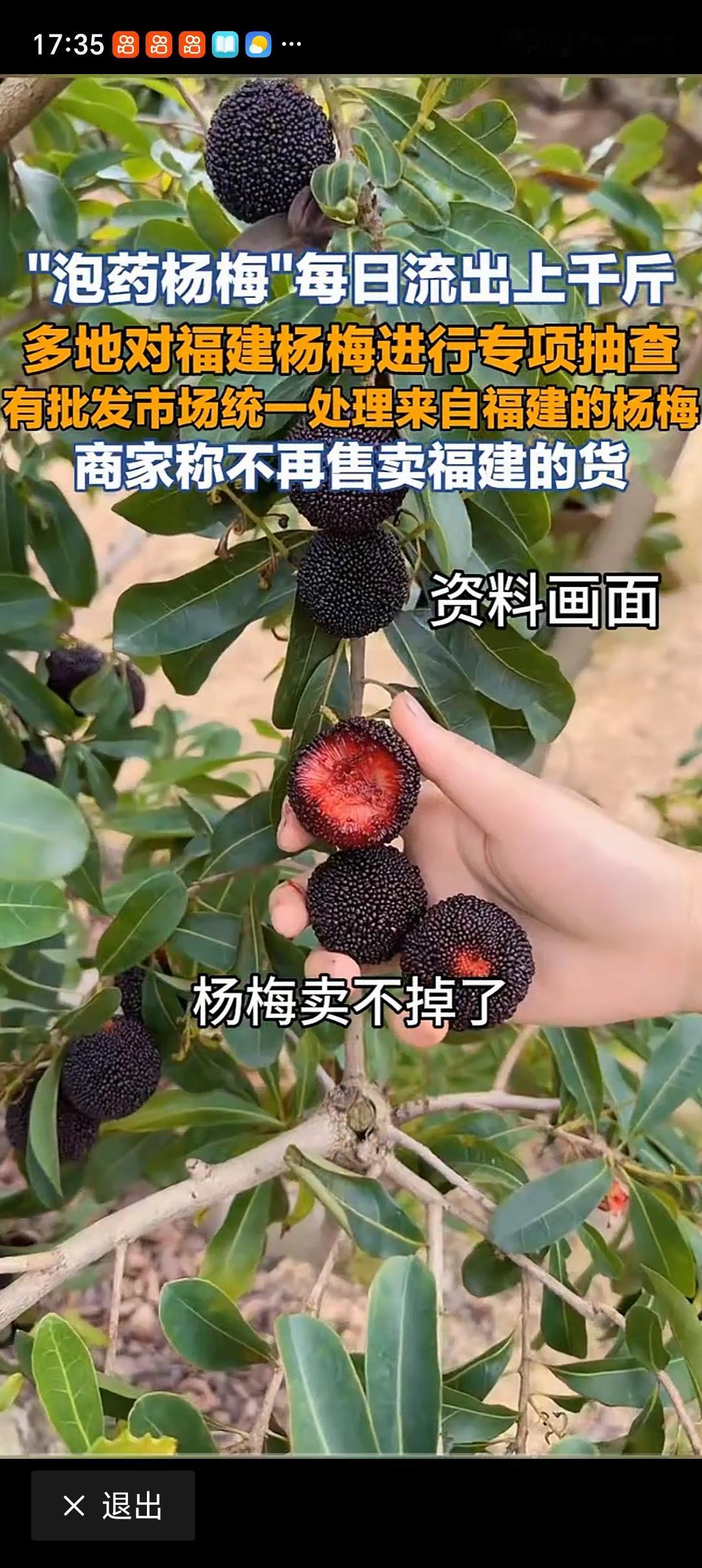 多地对福建杨梅进行专项抽查 多地对福建杨梅进行专项抽查，这事闹得挺大。原来，福建