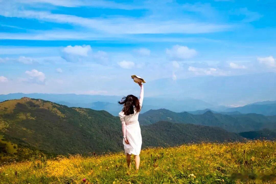 励志哲理人生  “花不可以无蝶，山不可以无泉，石不可以无苔，水不可以无藻，人不可