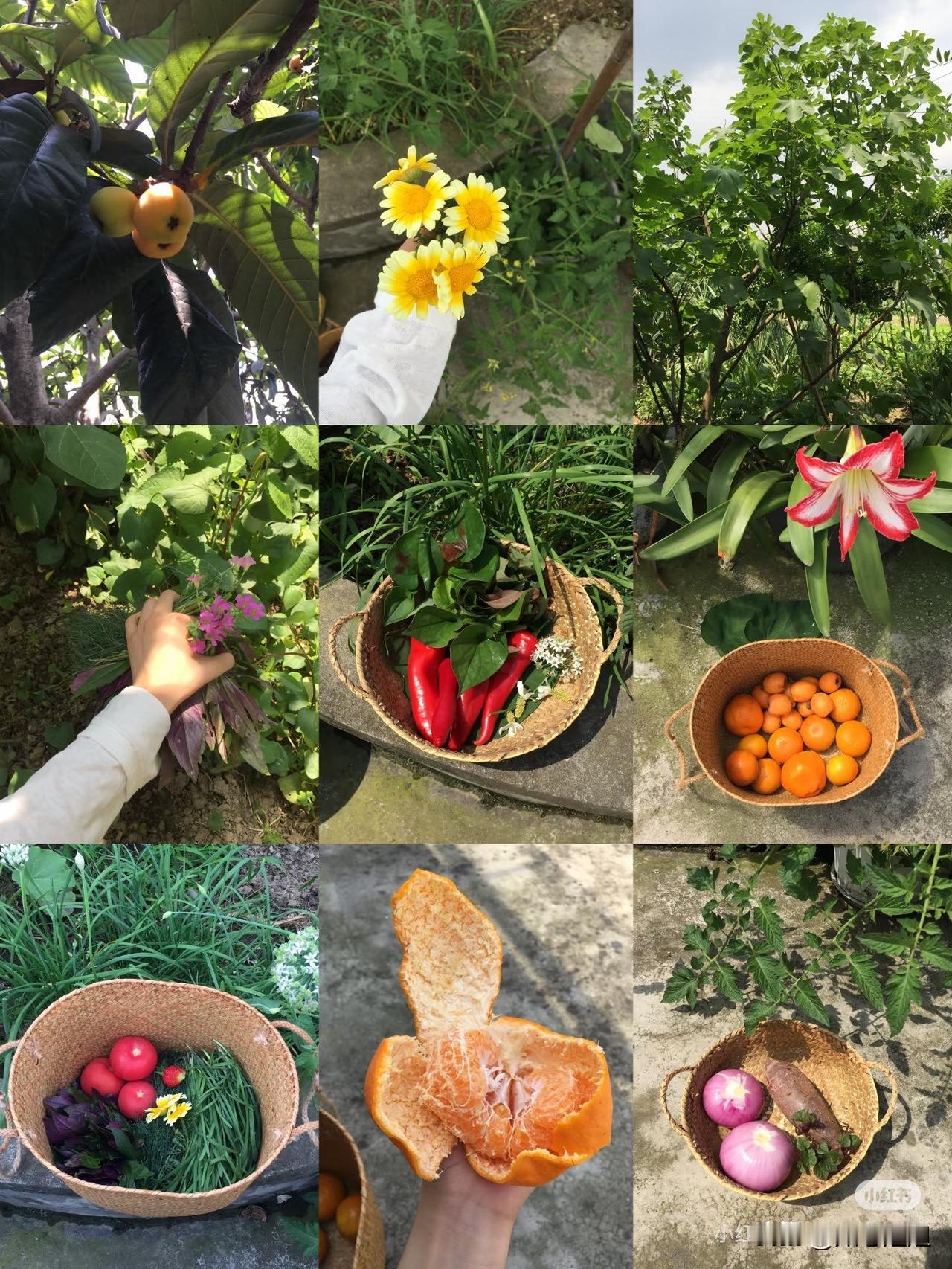 心理学上说：
下等的释怀，是纠缠；
中等的释怀，是沉默；
顶级的释怀，
是在世事