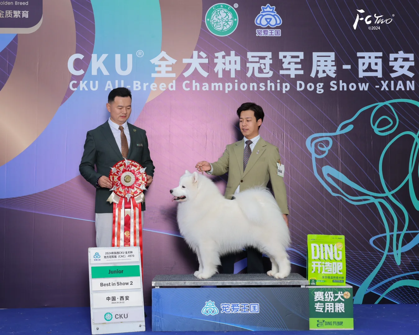 西安第三天： 小帅获得Junior全场总冠军BIS2🏆 感谢CKU审...