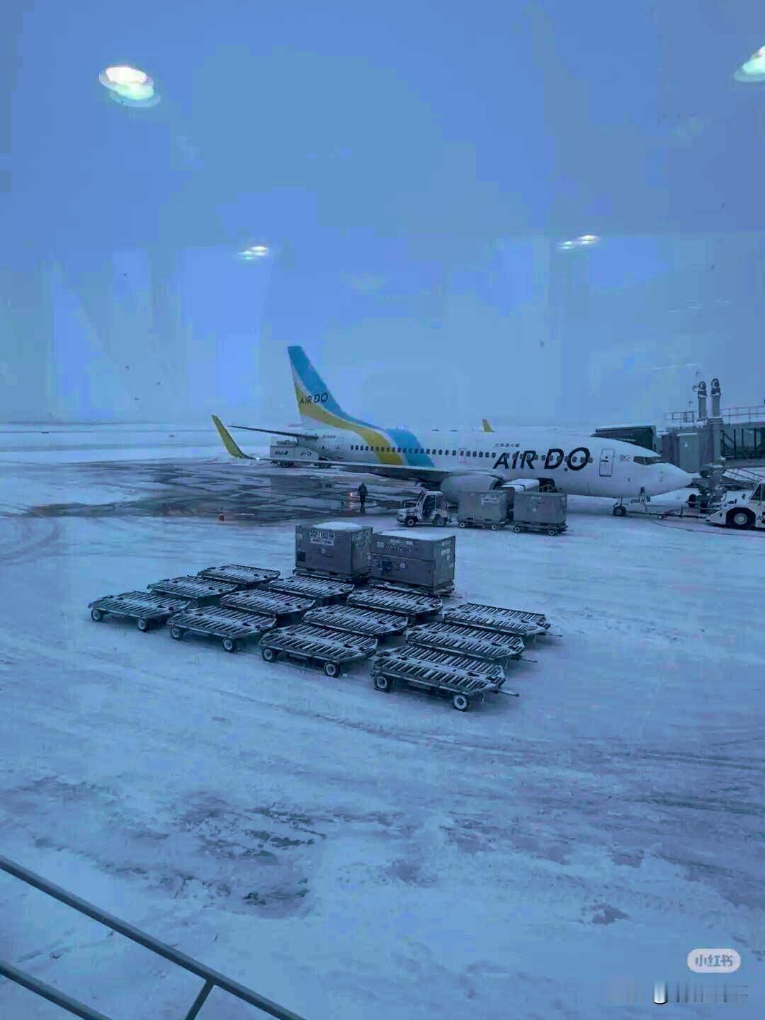 当地时间1月25日至26日，日本北海道新千岁机场遭遇创纪录的暴雪天气。受此影响，