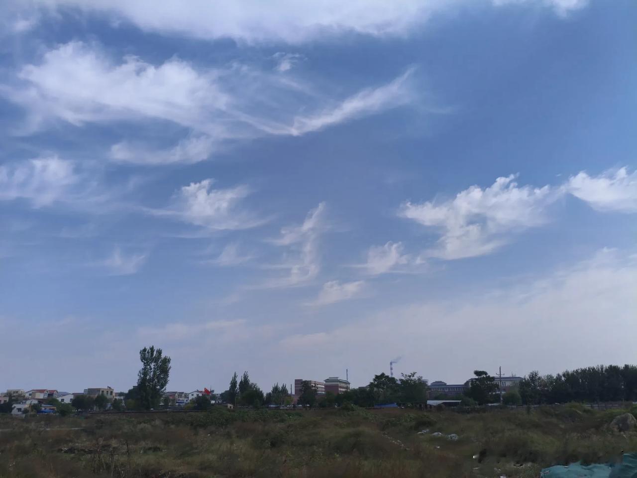 买东西，抬头就忽然看见天空上飘着几朵碎碎的云。

刚开始并不觉得什么，再仔细一看