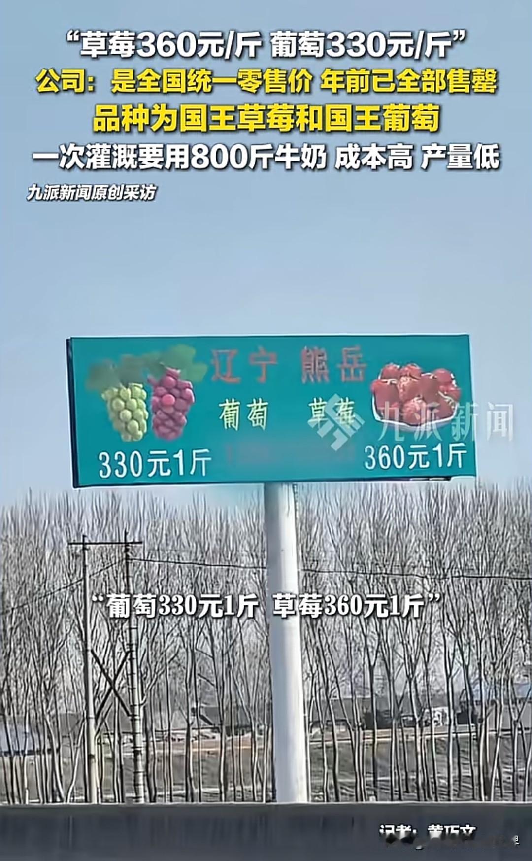 【“牛奶灌溉”种出天价草莓：农业创新何时成了“炫富游戏”？】

辽宁熊岳的草莓卖