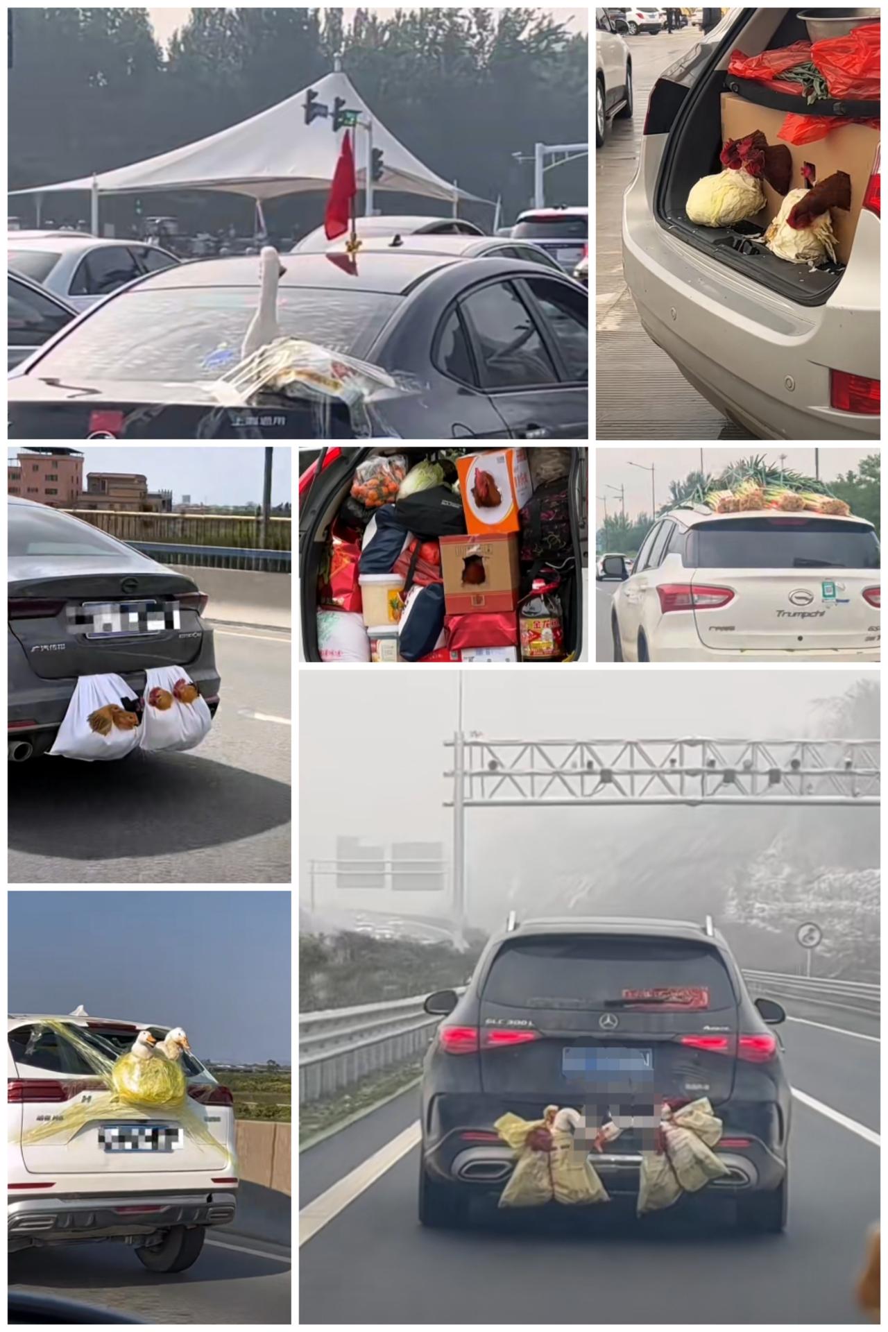 为什么明知假期回老家会被堵成狗，很多在外讨生活的还是会想着回去看看，也许这些画面