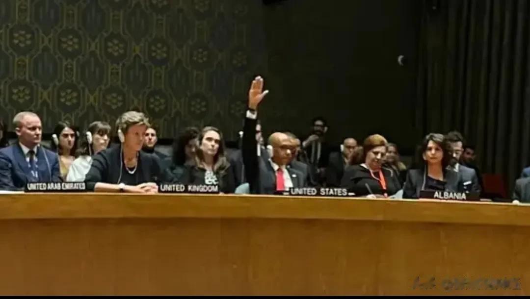 记住这只高高举起的手，美国又一次站在和平的对立面。上月中国任轮值主席国，安理会通