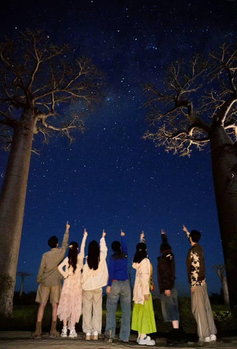 花少要拍团综了芒果新一季综艺及晚会片单2025芒果秋季招商大会 花少居然要拍团综