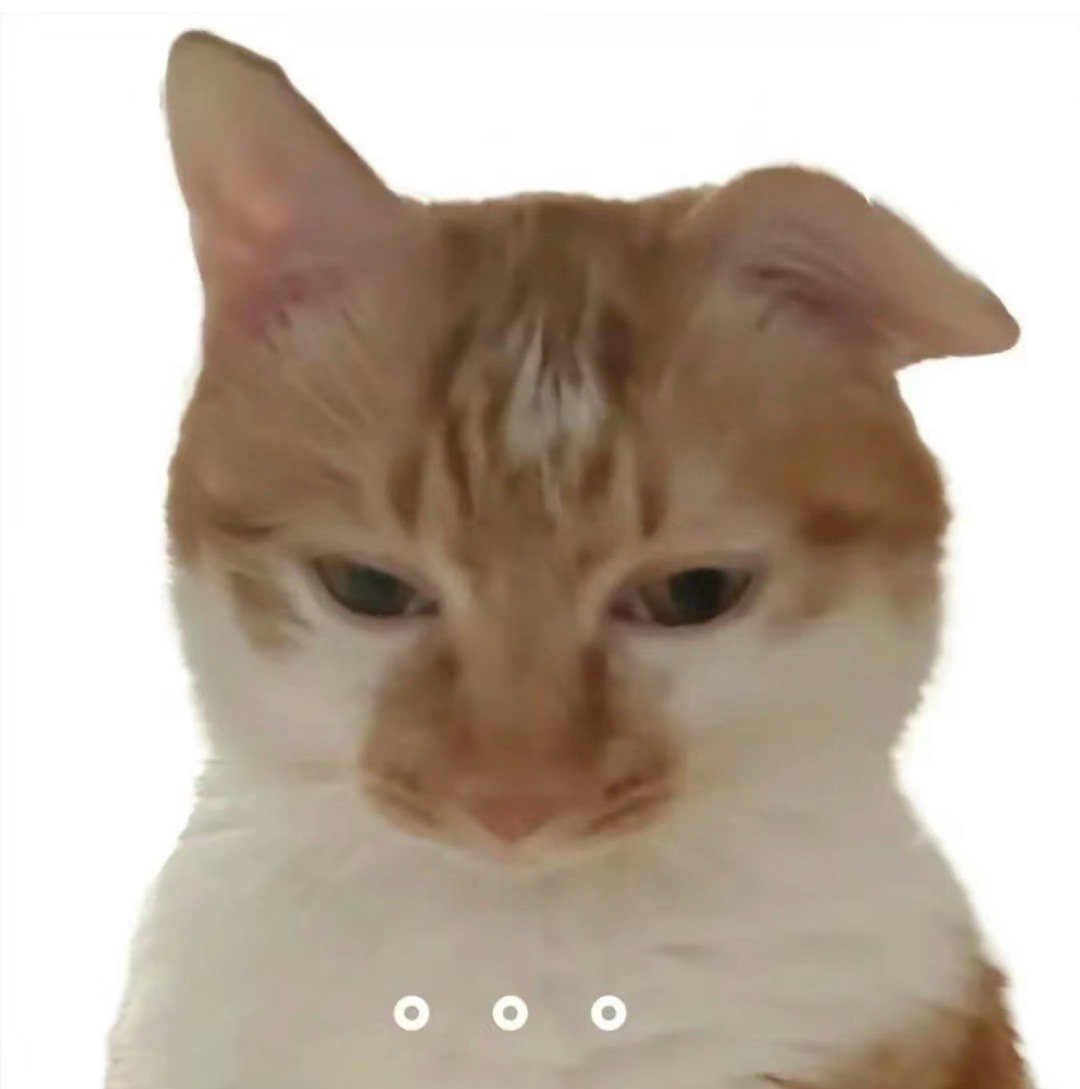 白底小猫[哇] ​​​