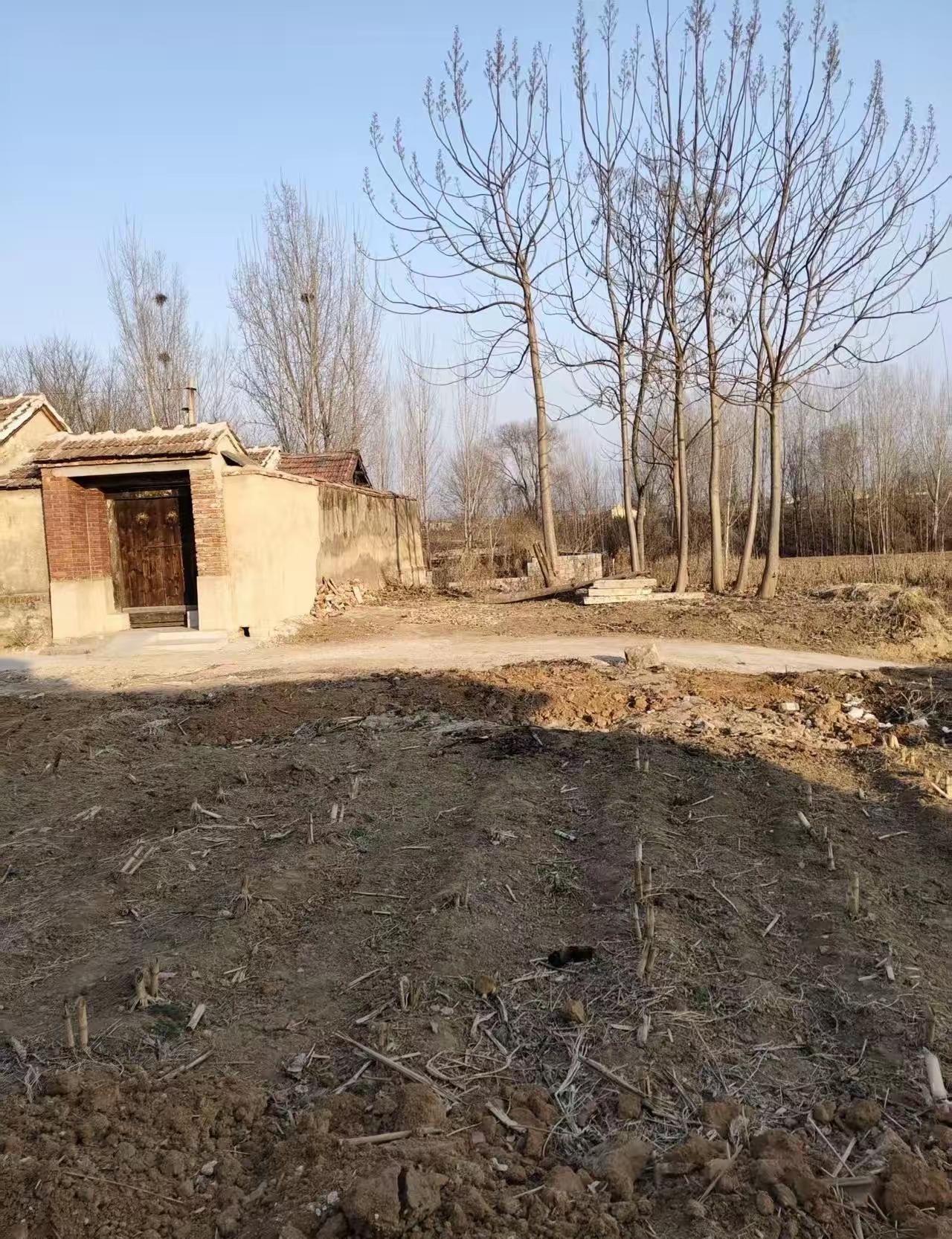 春风拂野，万物醒
残秸卧田，低声泣
一方向阳，抽芽新生
一方沉土，默默消融