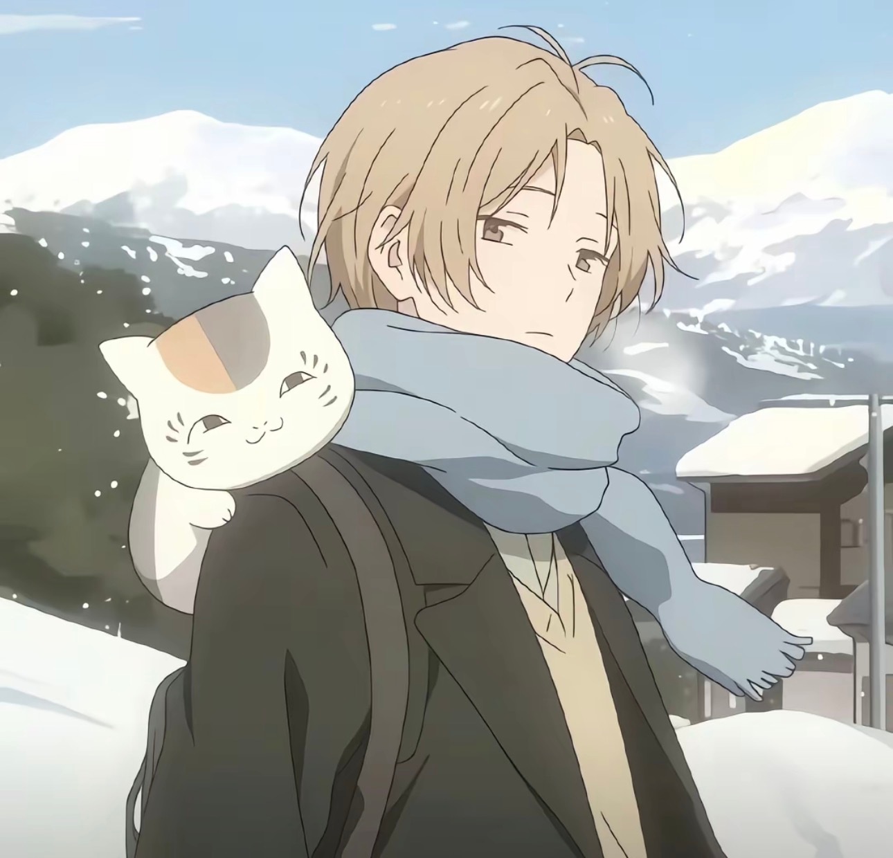 猫猫又咪咪 