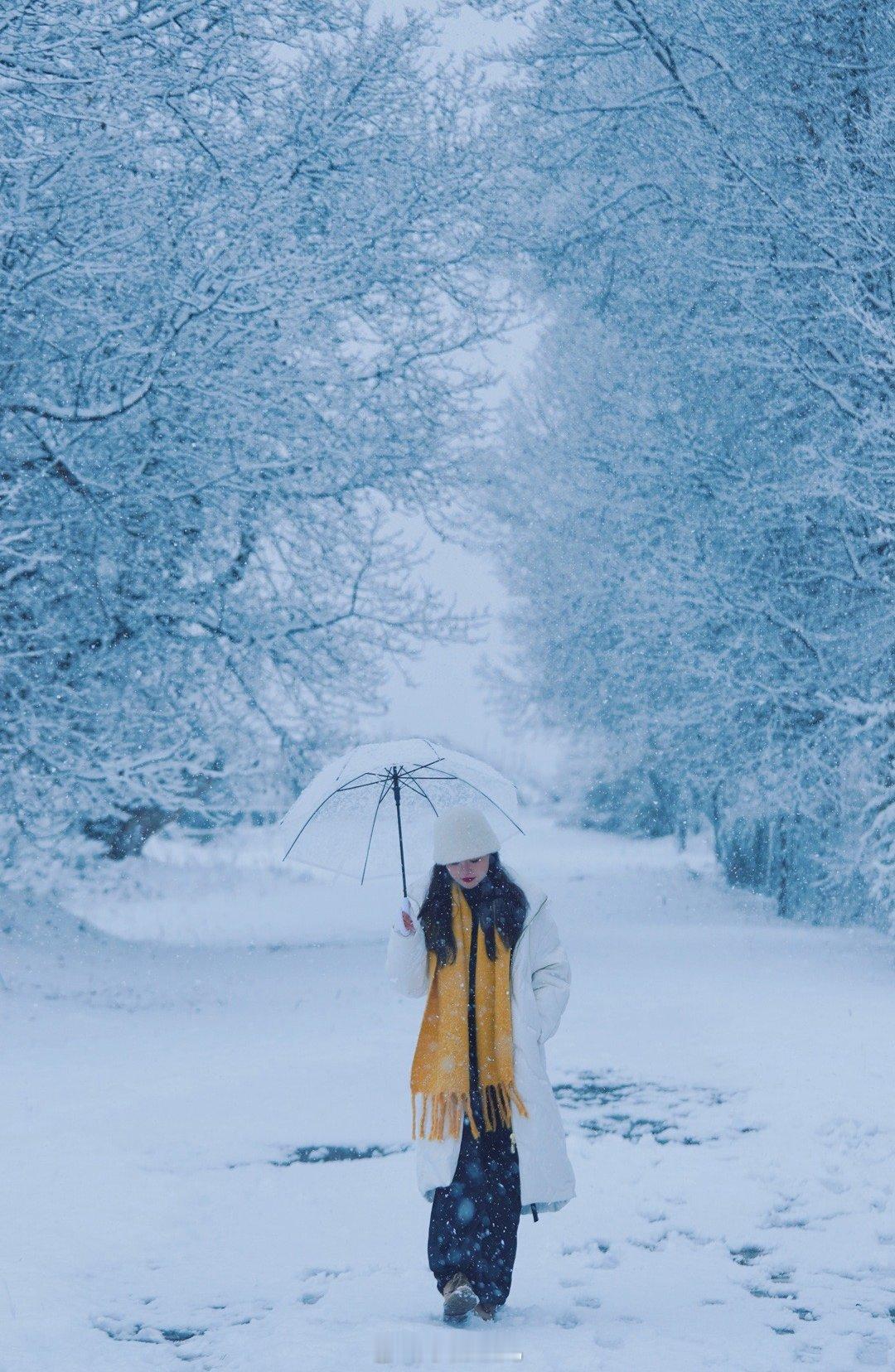 没想到在11月的川西遇见今年第一场雪❄️下雪后的甘孜州美如画，树上挂满白色树挂一