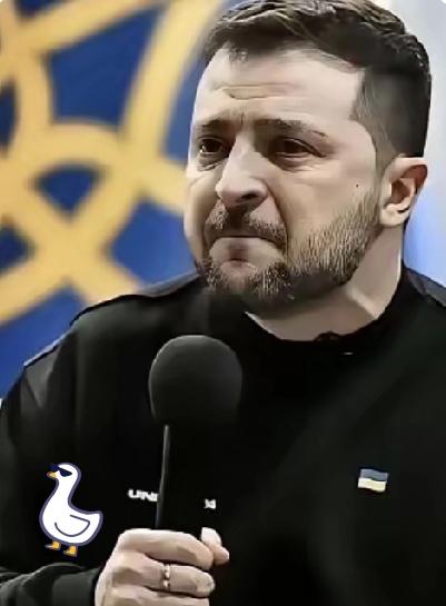 乌克兰最新消息！
2026年4月18日，乌克兰国家安全局在社交媒体上扔出一颗重磅