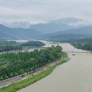 树林间欢唱的百灵