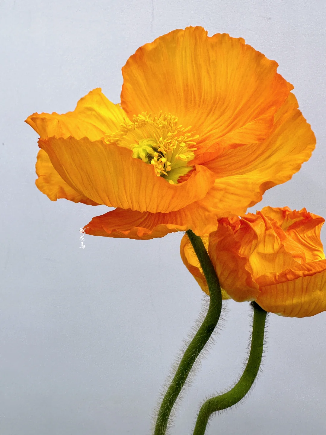 春花秋月何时了
