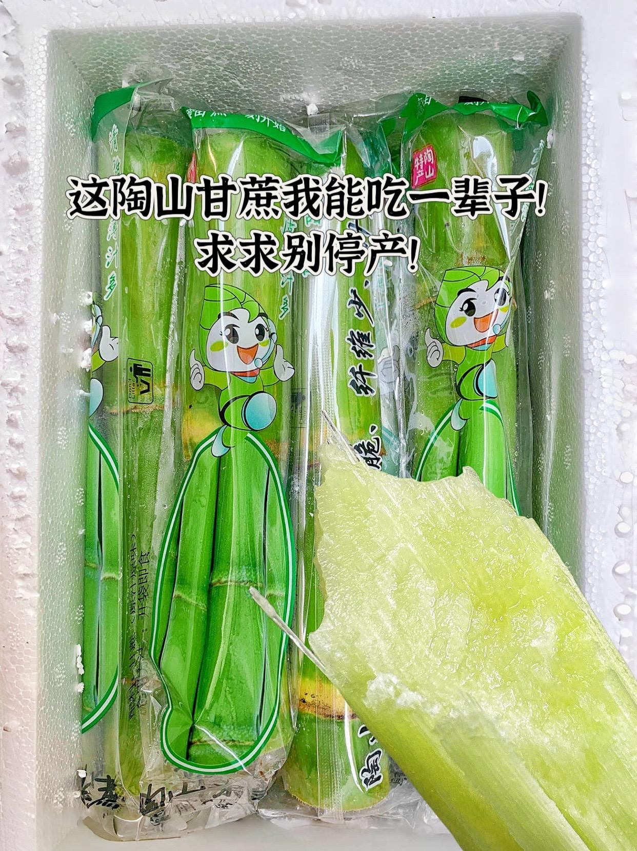 我的天！这个陶山甘蔗我真的能吃一辈子！我还是头一回吃陶山的这个水果甘蔗...