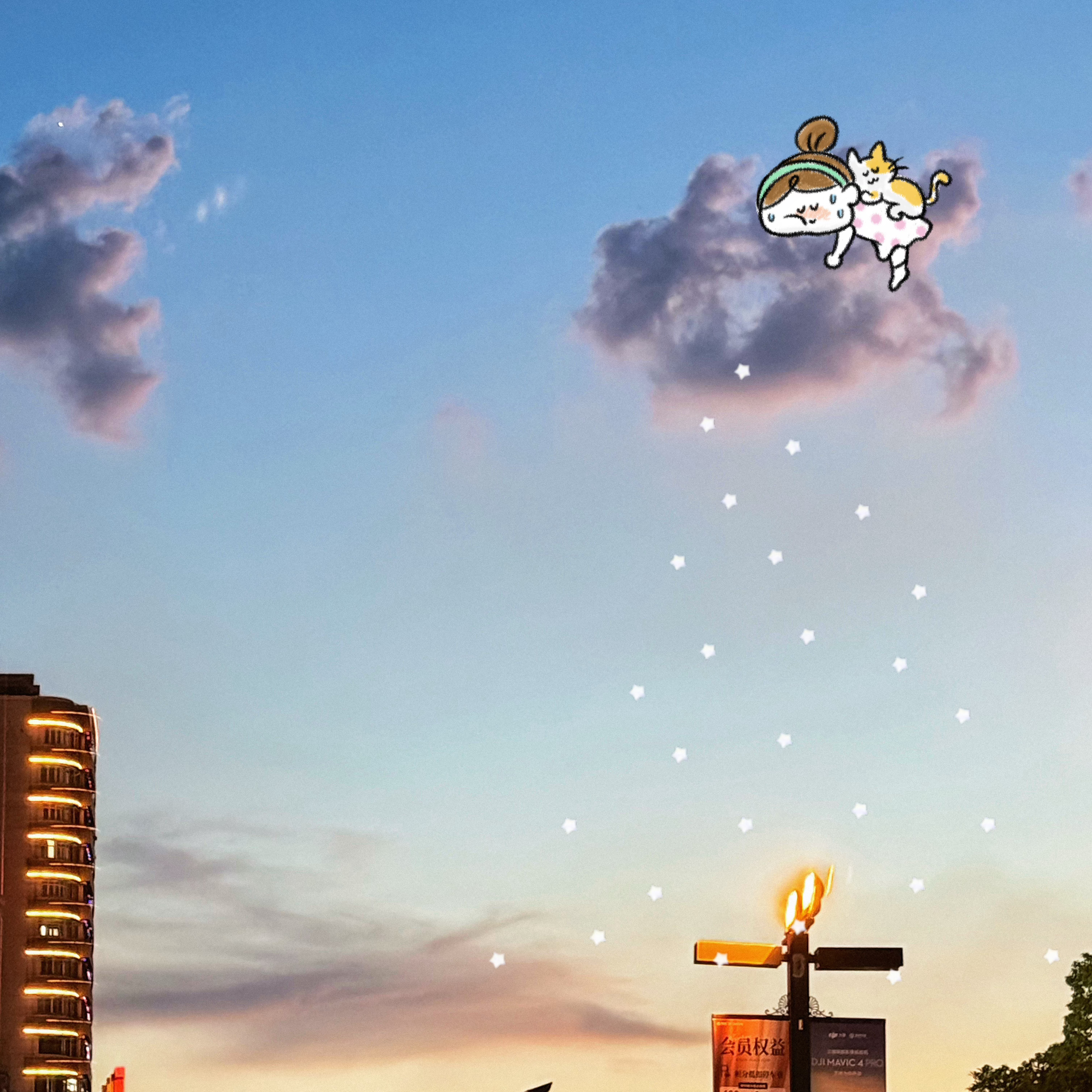 📸✨August mood🍉··🌅“八月限定浪漫，是晴空、小猫与晚霞☺️”