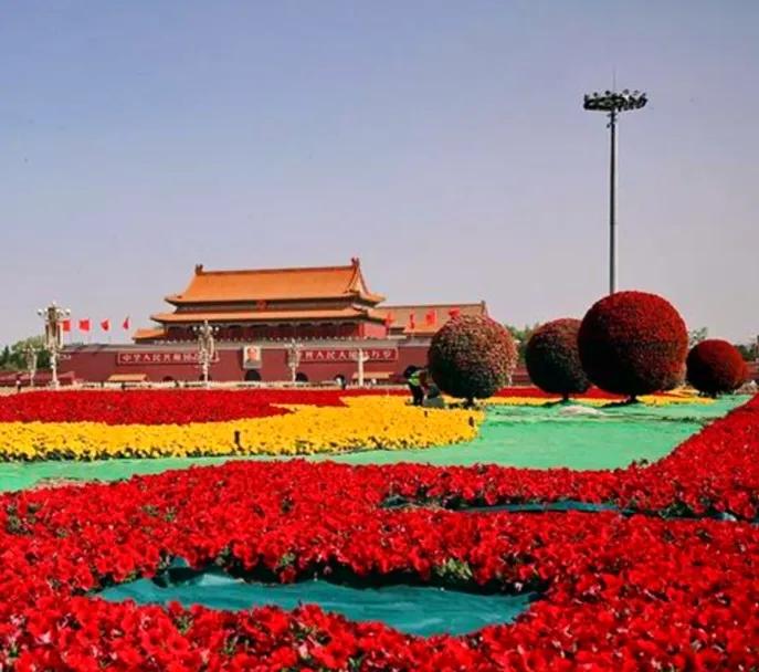 今日天安门中心广场，花团锦簇繁华辉煌，我为祖国的强盛而自豪。祝福祖国75周年生日