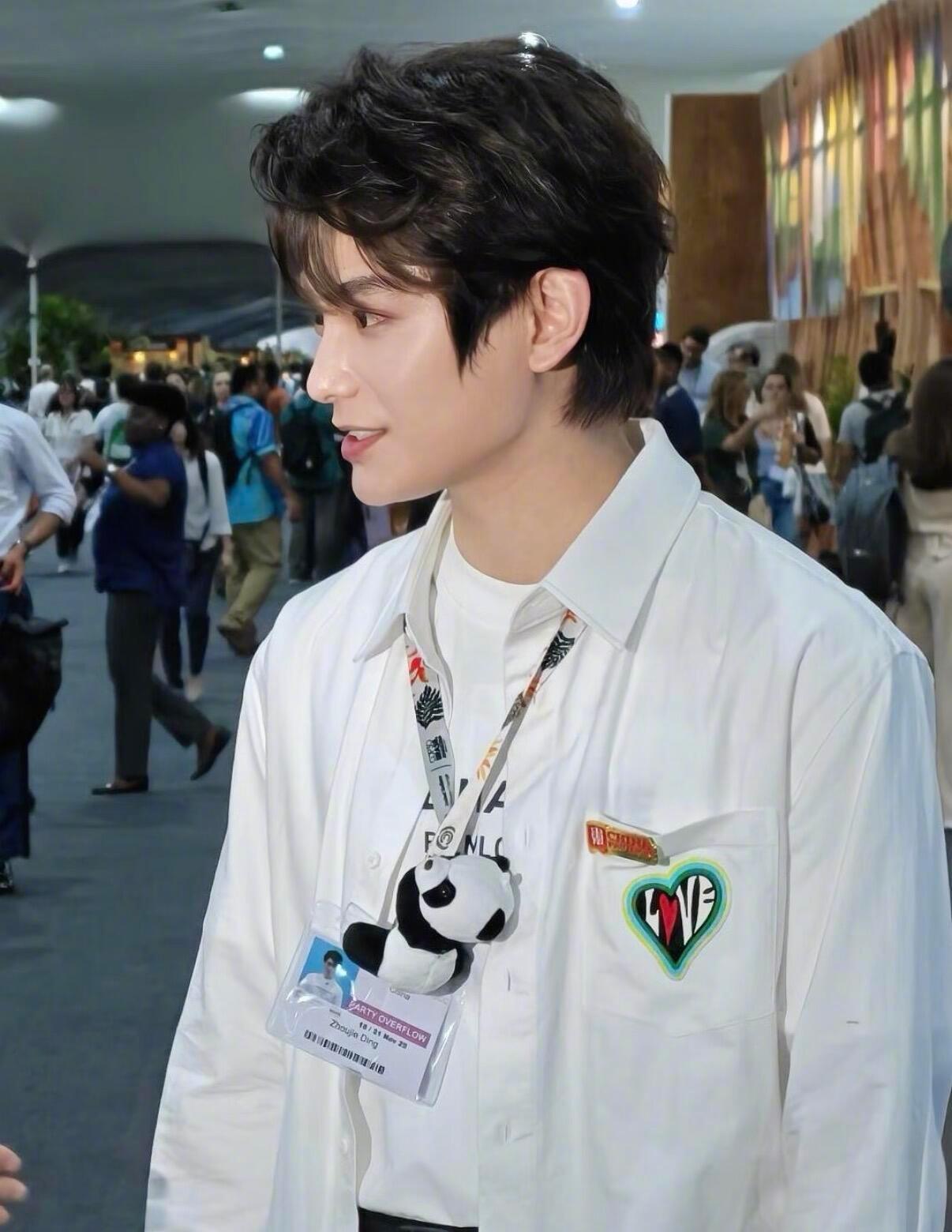 以本名丁舟杰出席联合国气候变化大会的丁禹兮