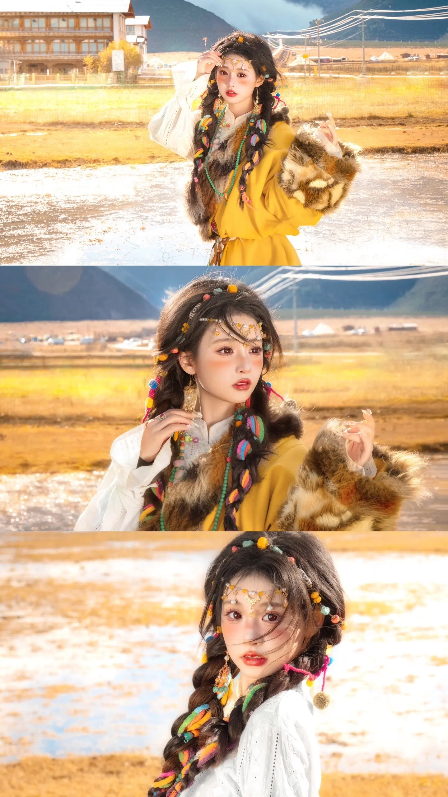 我出不去神山了  你带一支格桑花走吧！