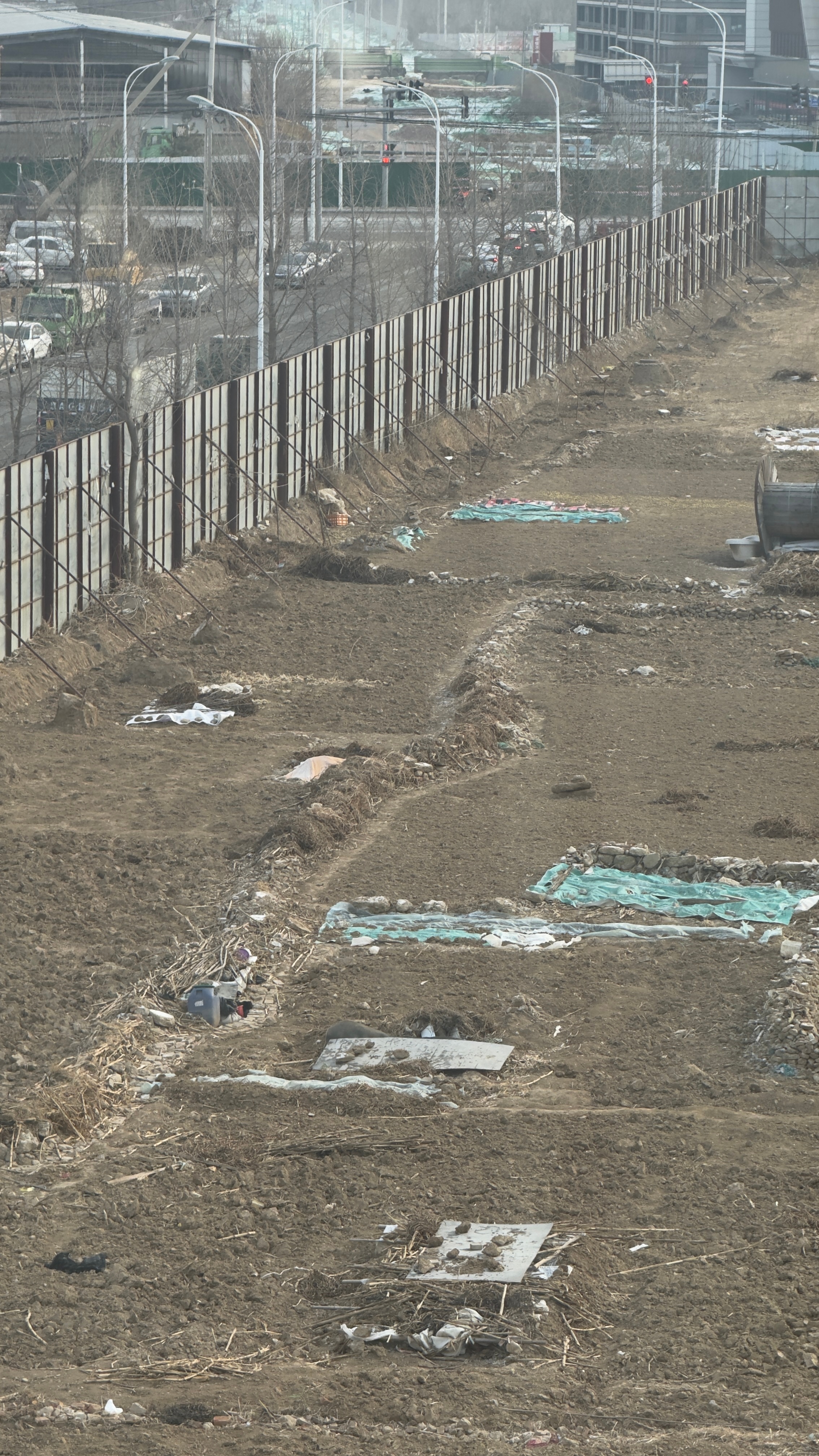 北京鹅毛大雪顺义咋毛都没有，都下在那里了？ 