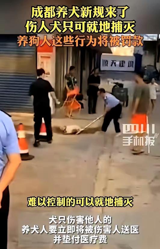 成都养犬新规直接炸锅！最狠一条没人想到：只要你家狗咬了人，不管是对方主动招惹还是