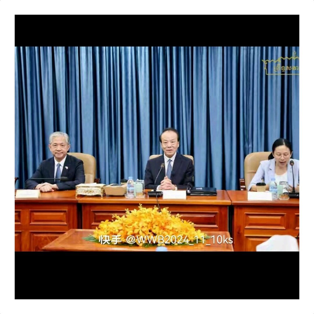 汪文斌交流 图片来源于网络 