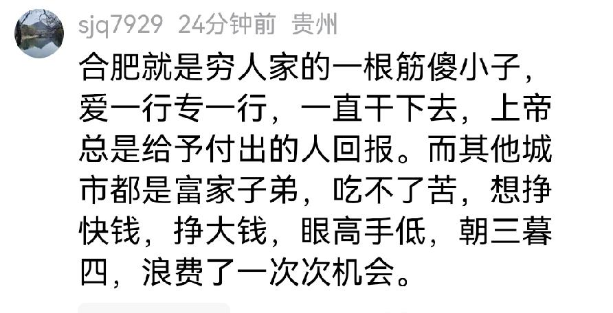 网友说的有道理，比喻很贴切。确实合肥就像穷人家的一根筋傻小子，爱一行专一行，一直