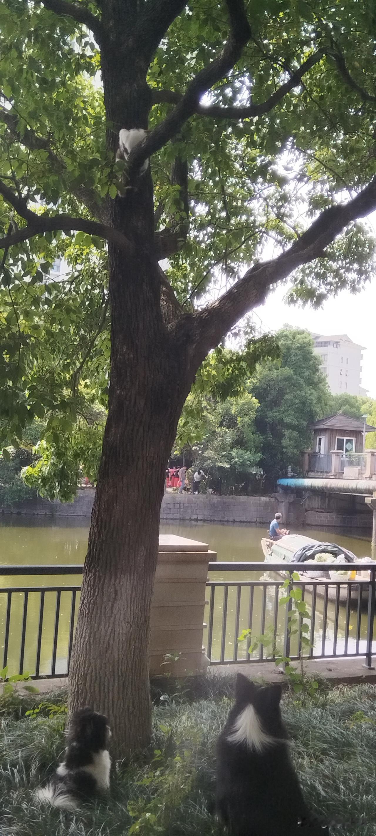不值得同情


没辙了
没戏了
没指望
没盼头
没前途
没未来

路是自己选的，