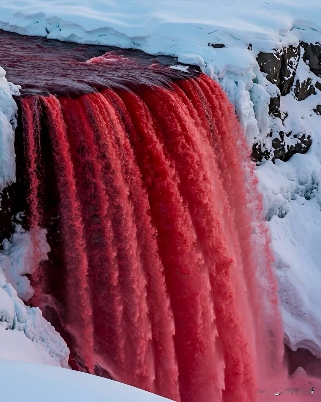 南极洲出现惊人的血瀑布！
南极血瀑布太绝了！
红色水流太震撼
诡异又震撼的自然奇