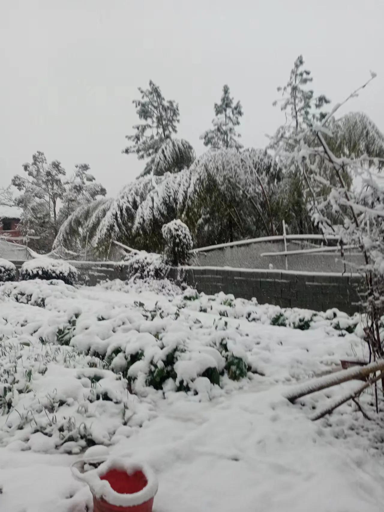 上联，清风本无意，诚邀下联寒雪太无情。