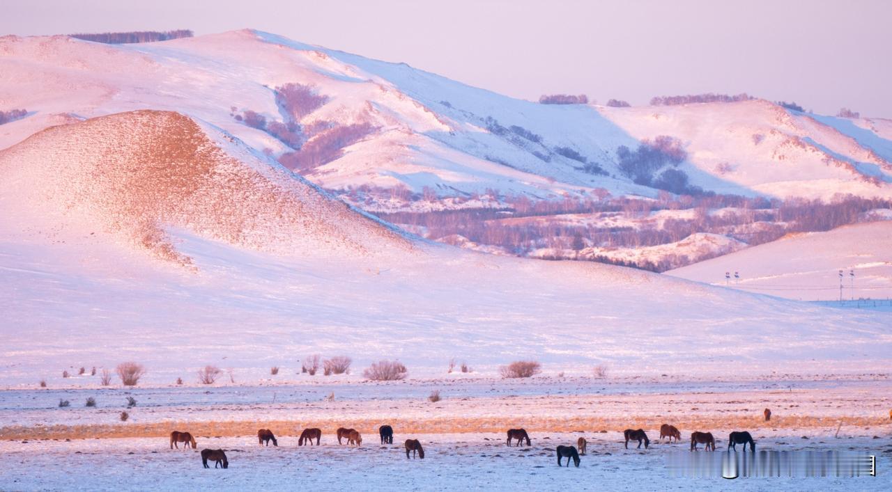 2026年1月10-16日金山岭长城、坝上万马奔腾摄影团已经成团，费用3980元